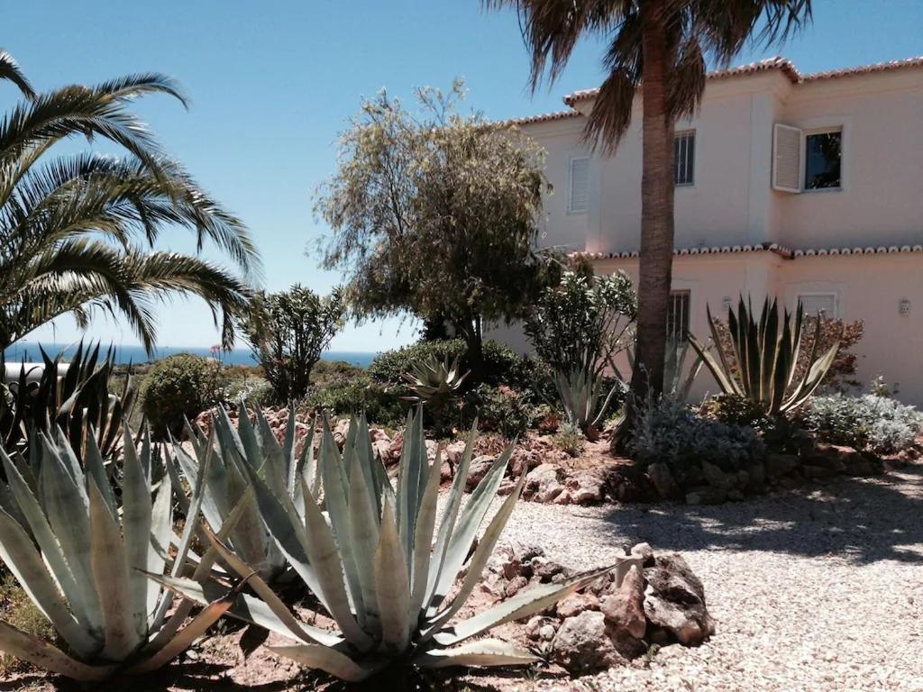 Villa With Beautiful See Views & Spacious Garden Ferragudo  Ngoại thất bức ảnh